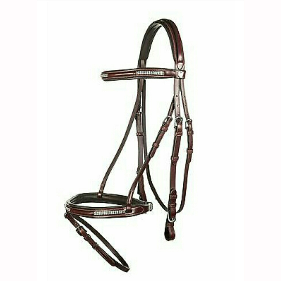 Bridle