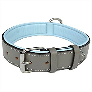 Dog Collar