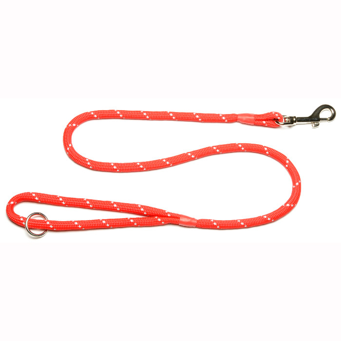 Dog Lead