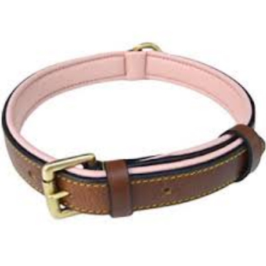 Dog Collar