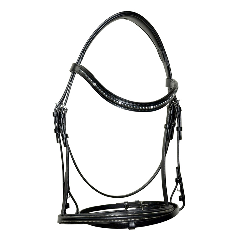 Bridle