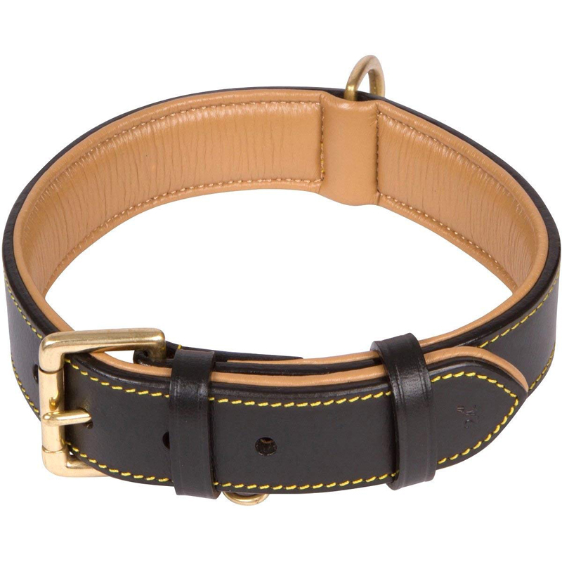 Dog Collar